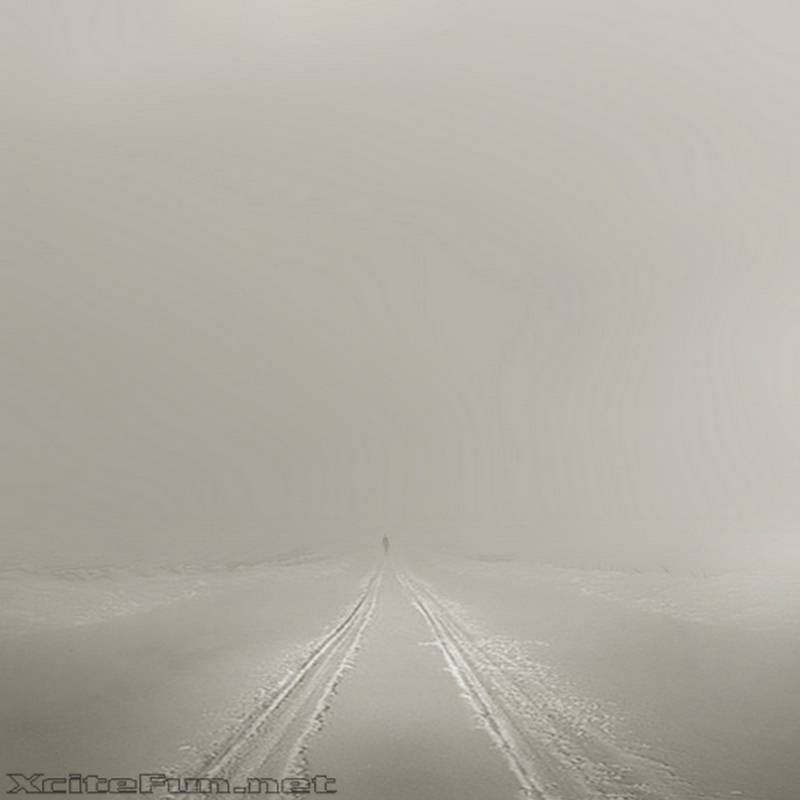 Amazing Collection of Digital Photography  Absolute Alone