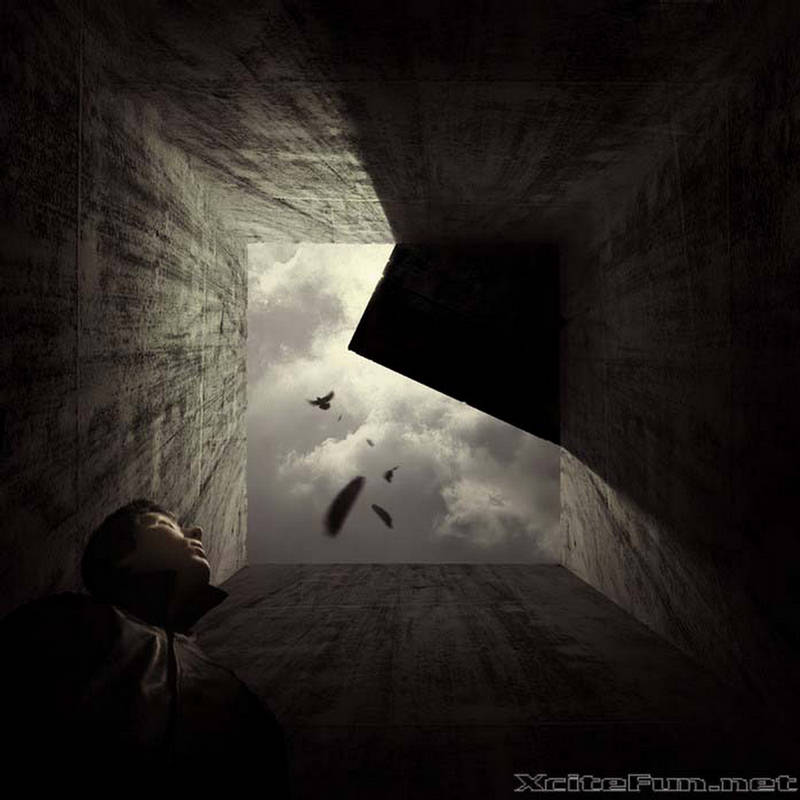 Amazing Collection of Digital Photography  Absolute Alone