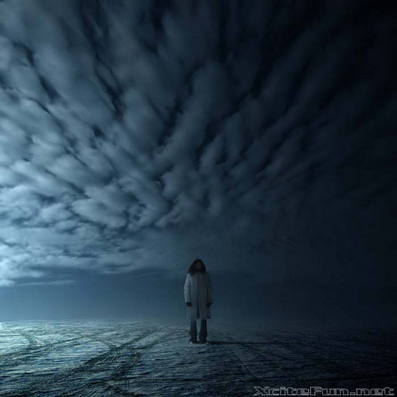 Amazing Collection of Digital Photography  Absolute Alone