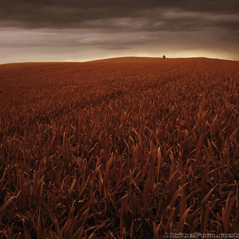 Amazing Collection of Digital Photography  Absolute Alone