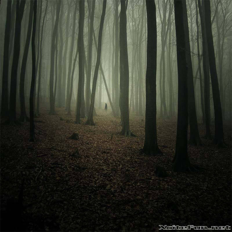 Amazing Collection of Digital Photography  Absolute Alone