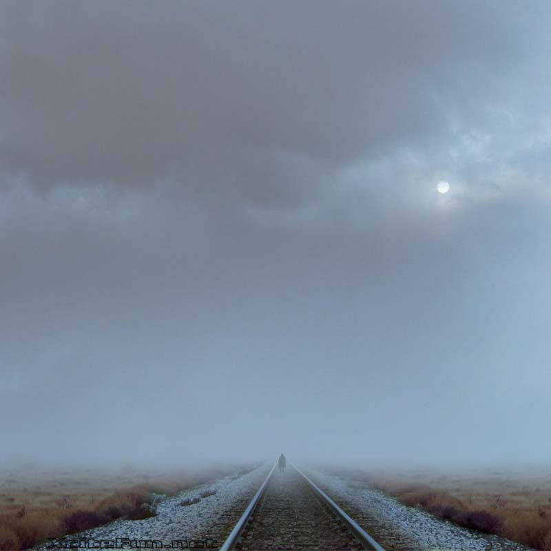 Amazing Collection of Digital Photography  Absolute Alone