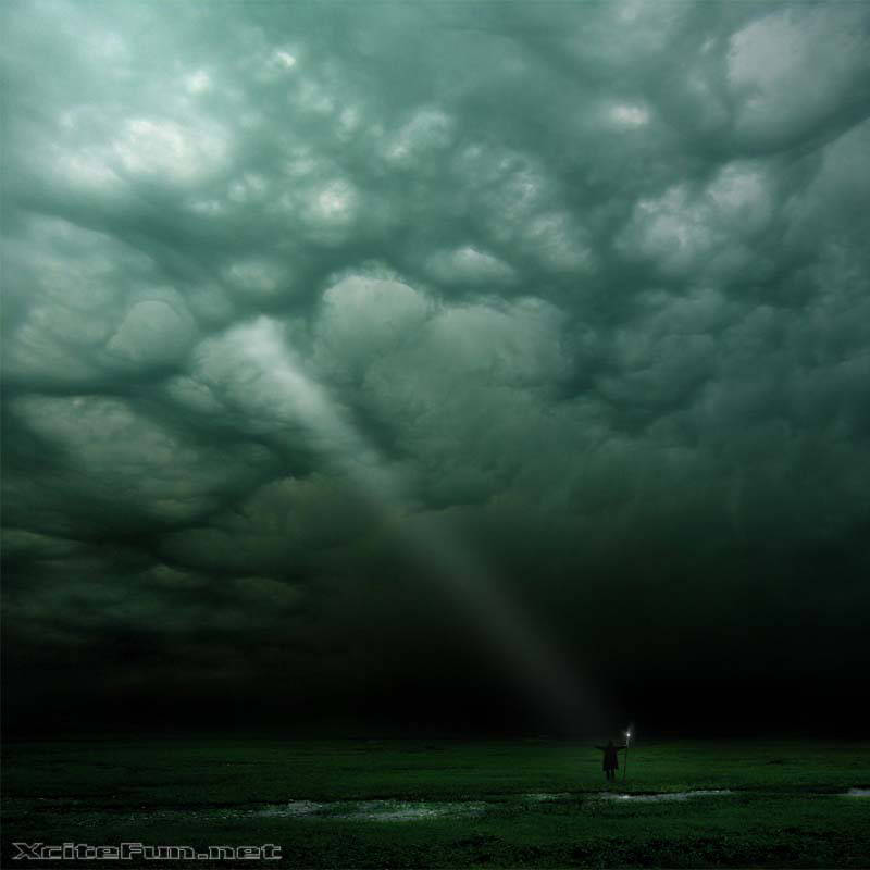 Amazing Collection of Digital Photography  Absolute Alone