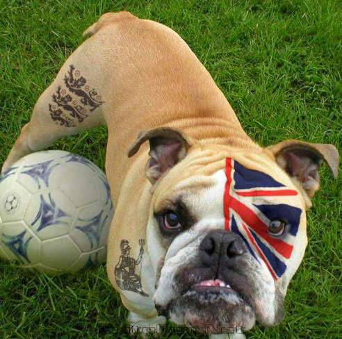 Amazing Photoshop Work On Flags  Photo Gallery