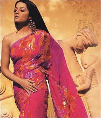 celina jaitley style in saree