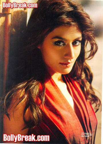 Chitrangda Singh Classic In The Making  Femina Mag Shots