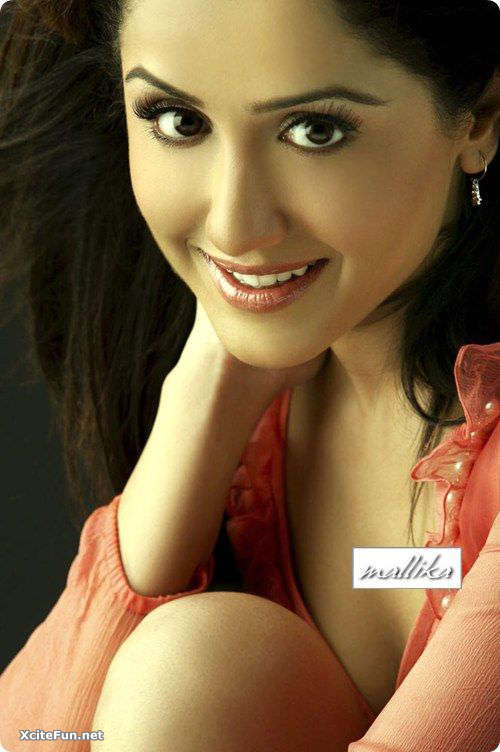 South Indian Sizzling Actress  Mallika