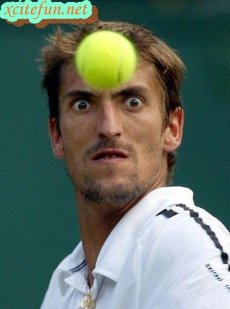 Top 10 Perfectly Timed Sports Pictures