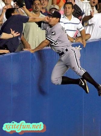 Top 10 Perfectly Timed Sports Pictures