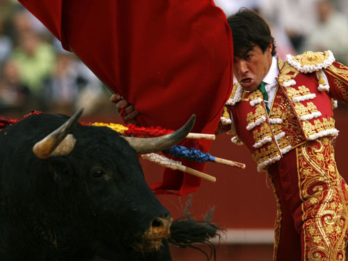 Spanish Bullfighting moments