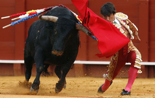 Spanish Bullfighting moments