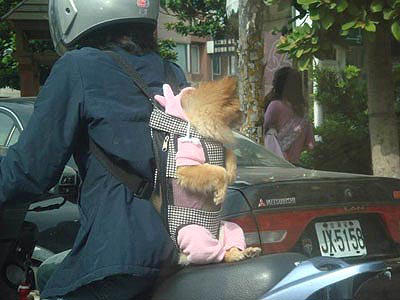 Whats happen N Where