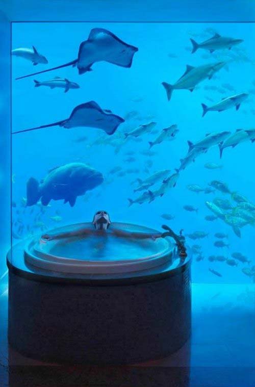 Atlantis the Palm  Resort on the Palm Jumeirah Dubai