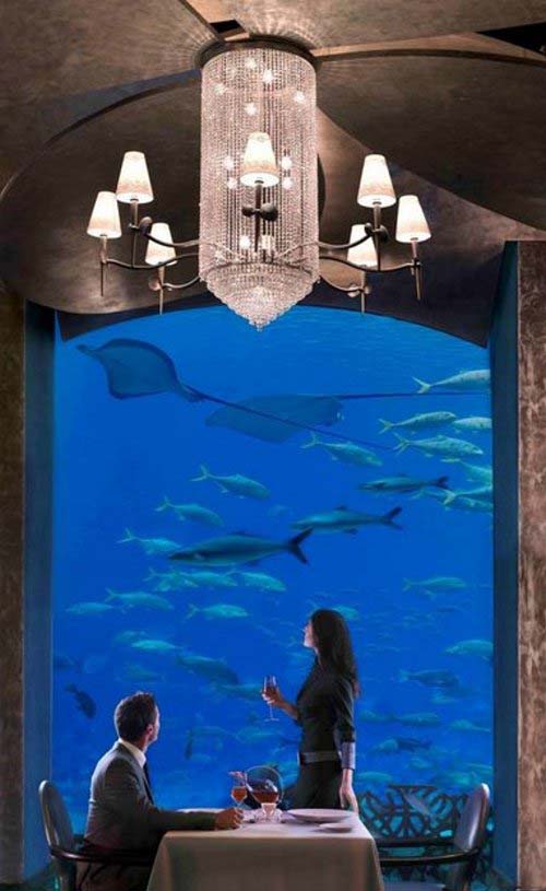 Atlantis the Palm  Resort on the Palm Jumeirah Dubai