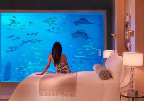 Atlantis the Palm  Resort on the Palm Jumeirah Dubai