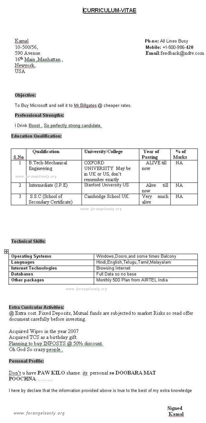 cv college student