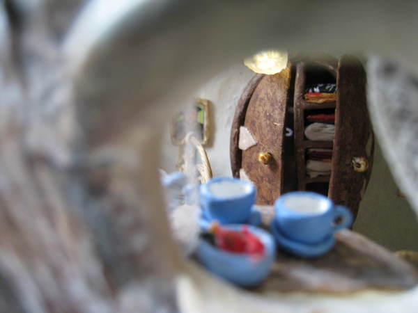 A Must See the beauty inside a snails house bfully arrange