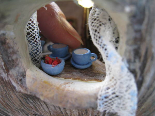 A Must See the beauty inside a snails house bfully arrange