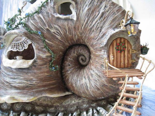 A Must See the beauty inside a snails house bfully arrange