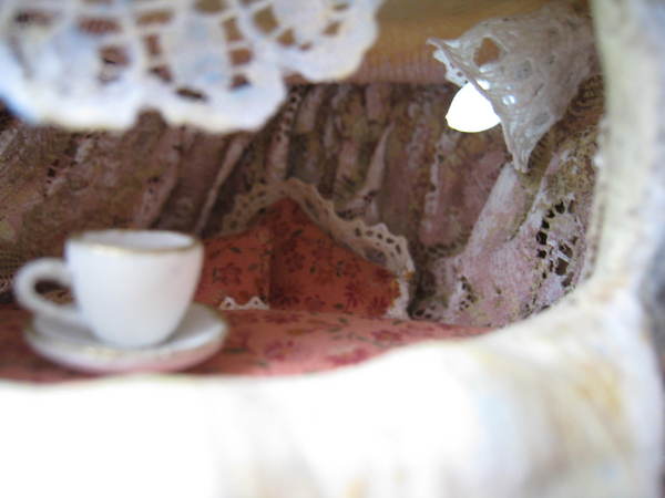 A Must See the beauty inside a snails house bfully arrange