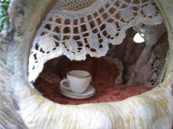A Must See the beauty inside a snails house bfully arrange