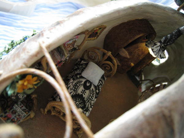 A Must See the beauty inside a snails house bfully arrange