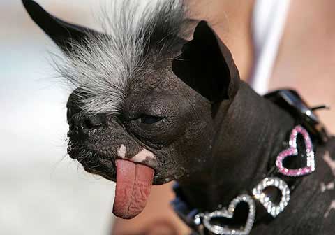 VERY UGLY very ugly: