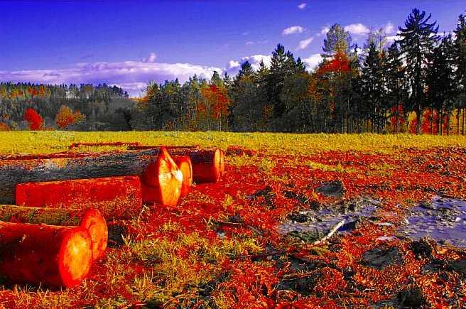 روعة فصل الخريف فى بلاد مختلفة.... 78363,xcitefun-image008