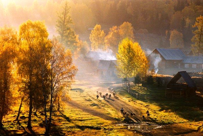 شاهد سويسرا في فصل الخريف 78367,xcitefun-image004