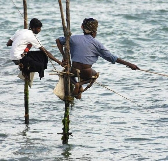 amazing fish catching