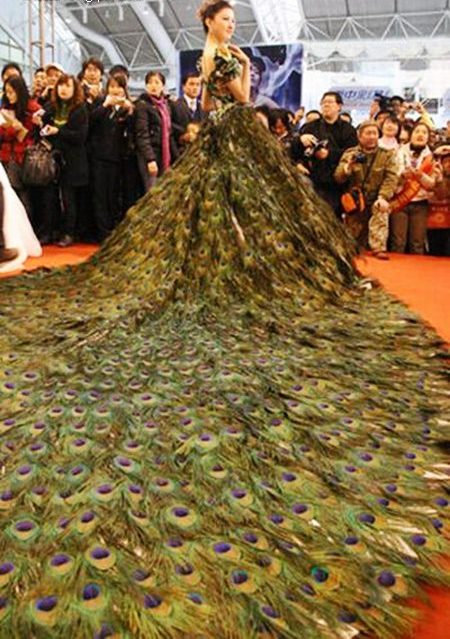 Wedding dress of peacock feathers
