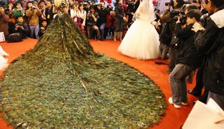 Wedding dress of peacock feathers