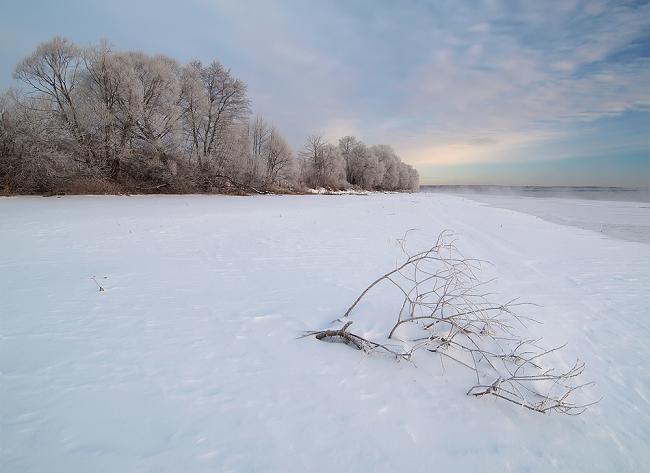 Snowfall Scenery