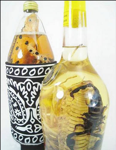 Snake Wine What a Crazy Drink