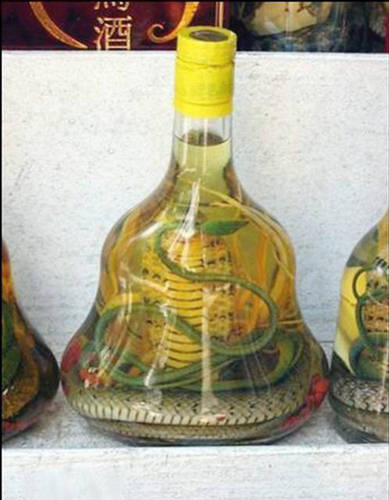 Snake Wine What a Crazy Drink