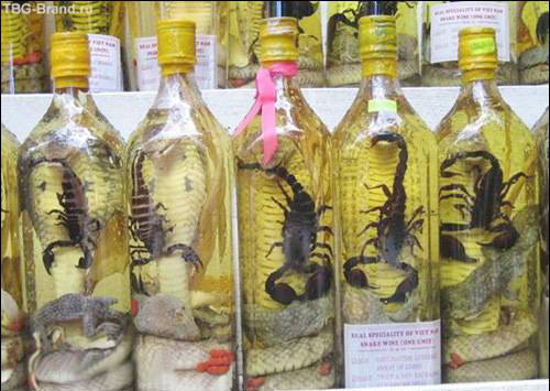 Snake Wine What a Crazy Drink