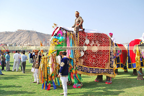 Elephant Festival in Jaipur India