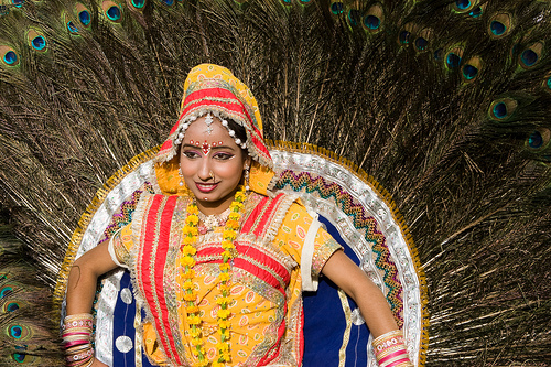 Elephant Festival in Jaipur India