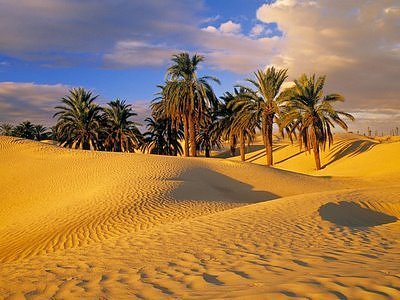 20 Most Incredible Desert Oases pics