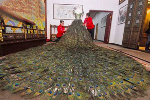 Creative Peacock Feathers Wedding Dress