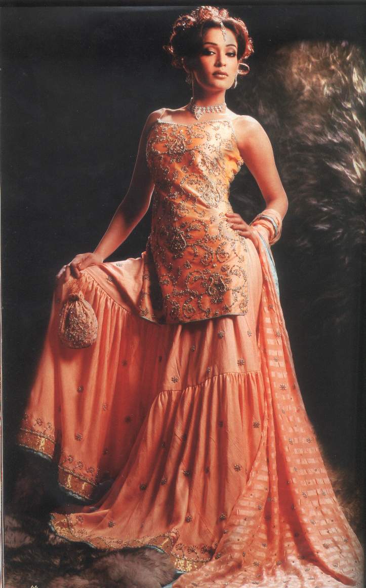 Pakistani Bridal Dresses