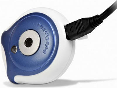 Pets Eye View Camera  Digital Camera Photo Dog
