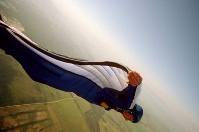 Amazing Skydiving suits