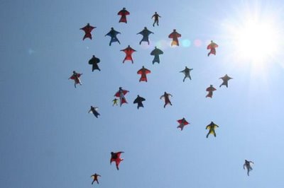 Amazing Skydiving suits