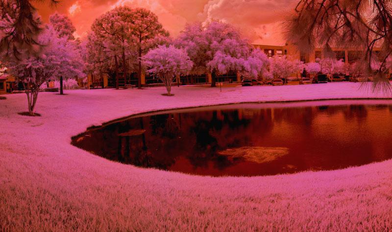 Nature in painting 