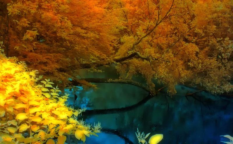 Nature in painting 