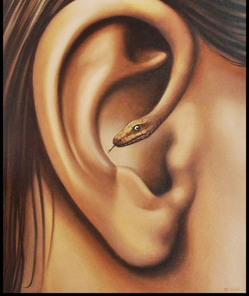 illussion  paintings
