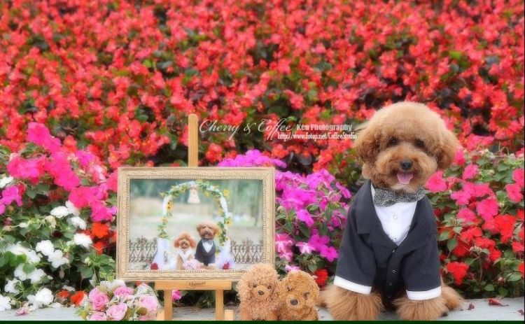 THE MOST BEAUTIFUL WEDDING OF LIFE TIMEMUST SEEE