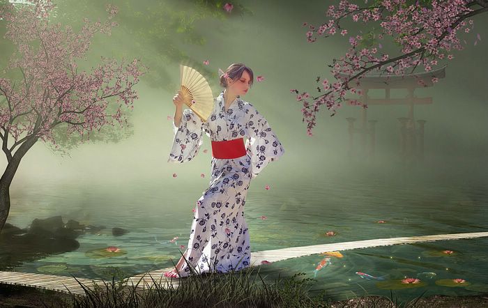 சில அழகான பான்சி(Fancy) ஓவியங்கள்..(இவை என் மனதை கவர்ந்தவை) 100836,xcitefun-photo-manipulation-geisha-dream