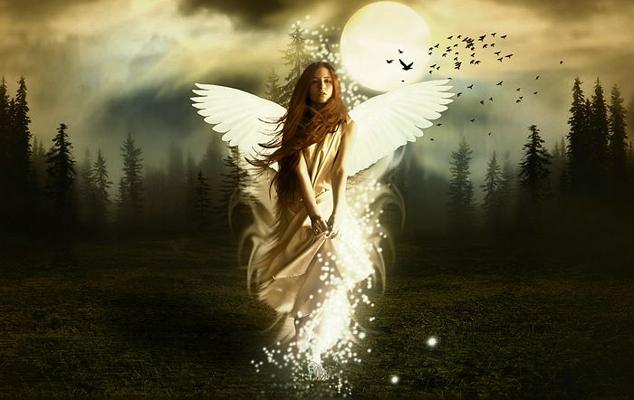 http://img.xcitefun.net/users/2009/07/100848,xcitefun-photo-manipulation-rise-on-an-angel-v3.jpg